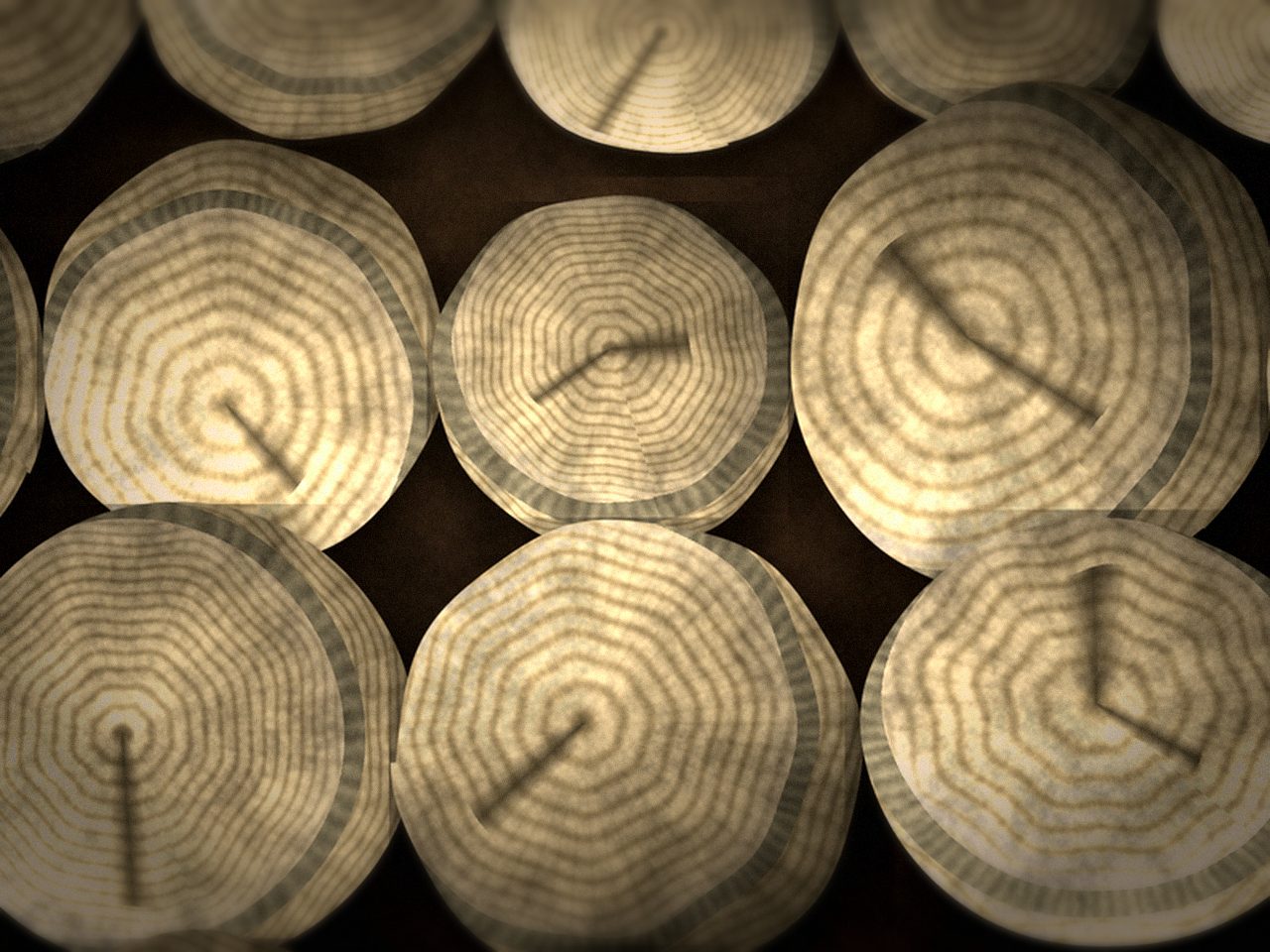 Осиновые дрова — ракурс 3